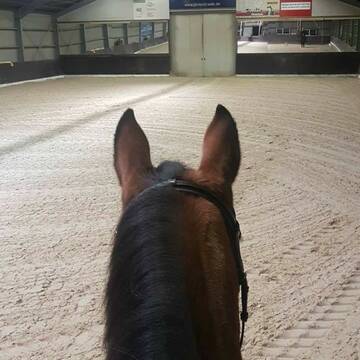 Bild: Stall in  Garbsen