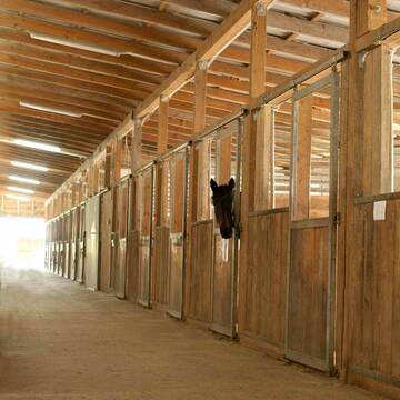 Bild: Stall in  Pfeffenhausen