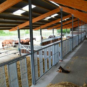 Bild: Stall in  Weyhe