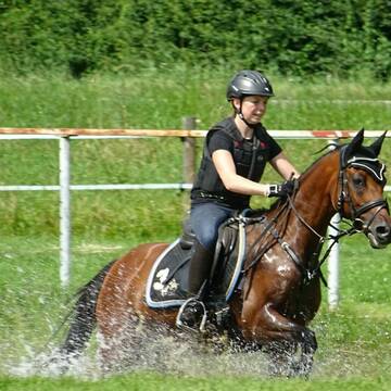 Bild: Stall in  Isny im Allgäu