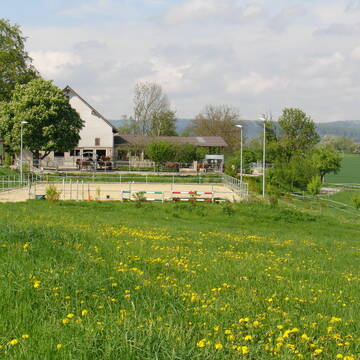 Sonnige Alleinlage zwischen Wiesen und Bäumen