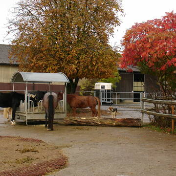24-Stunden Selbstbedienung an der Heuraufe