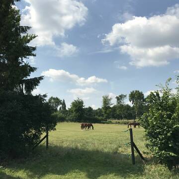 Bild: Stall in  Gievenbeck