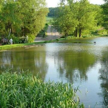 Bild: Stall in  Heiligenhaus