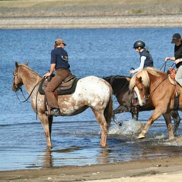 Badestelle für Pferde in der Nähe