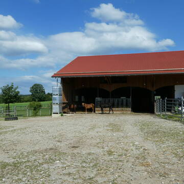 Bild: Stall in  Rott