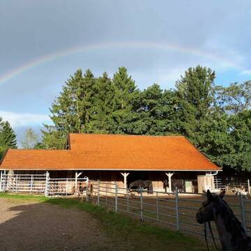 Bild: Stall in  Rott