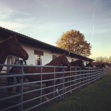 Bild: Stall in  Efringen-Kirchen