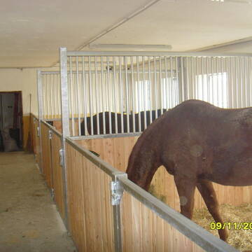 Bild: Stall in  Salzweg
