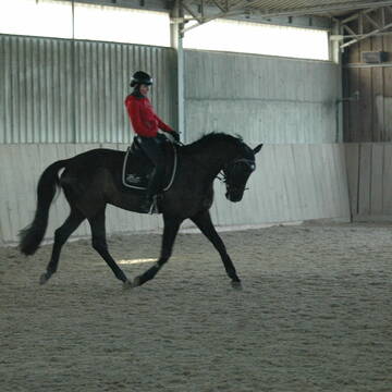 Bild: Stall in  Efringen-Kirchen