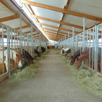 Bild: Stall in  Marktoberdorf