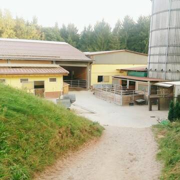 Bild: Stall in  Scharbach