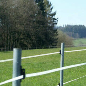 Bild: Stall in  Scharbach