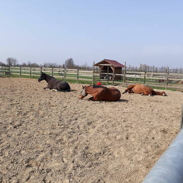 Alles ganz entspannt....