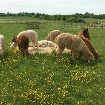 Bild: Service in  Mönkhagen