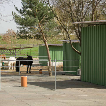 Bild: Stall in  Fühlingen