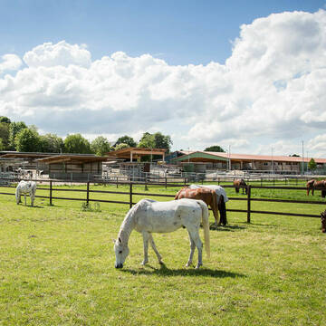 Bild: Stall in  Fühlingen