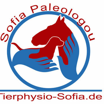 Bild: Service in  Maintal