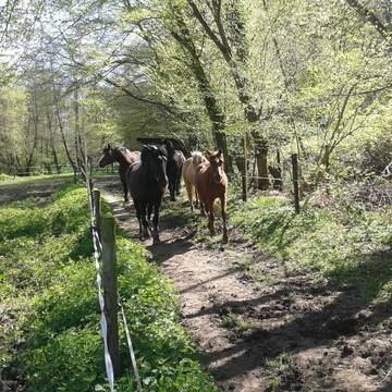 Gruppe auf dem Trail