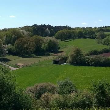 Bild: Stall in  Heimbach