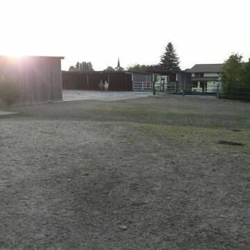 schöner, großer Bewegungsstall