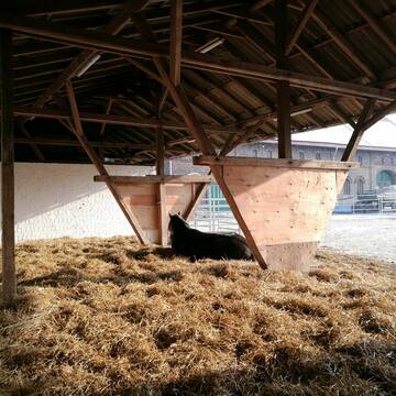 Liegebreich eingestreut mit Stroh