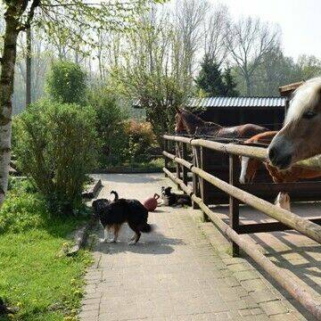 Bild: Stall in  Straelen