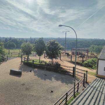 Bild: Stall in  Mechernich