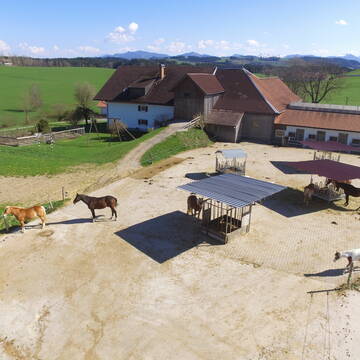 Bild: Stall in  Durach