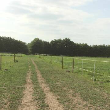 Die abgetrennten Weiden vom Trail zu erreichen