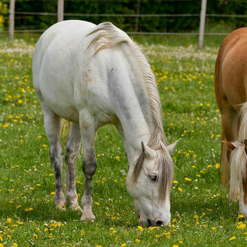 Bild: Stellenmarkt in  Vaterstetten