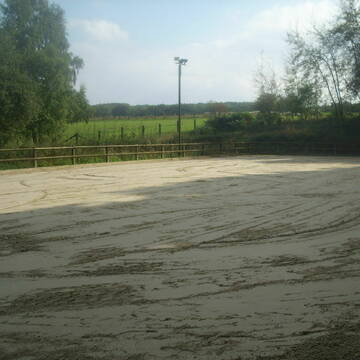 Ausschnitt des Reitplatzes