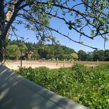 Bild: Stall in  Dörverden