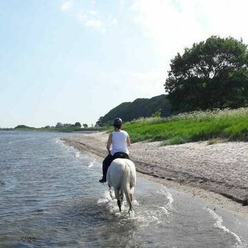Bild: Stall in  Altenhof