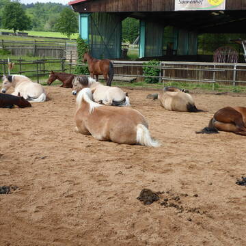 Bild: Stall in  Schnelldorf
