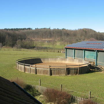 Round pen und Teile der Halle