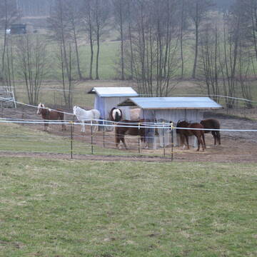 Unterer Paddock mit Strohraufen