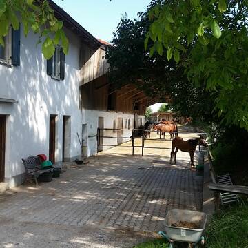 Putzplatz und Offenstall