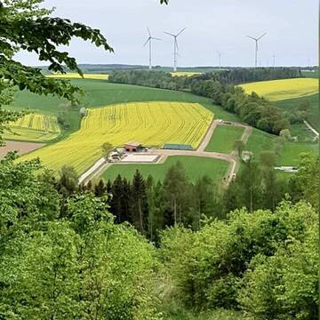 Bild: Stall in  Beienrode