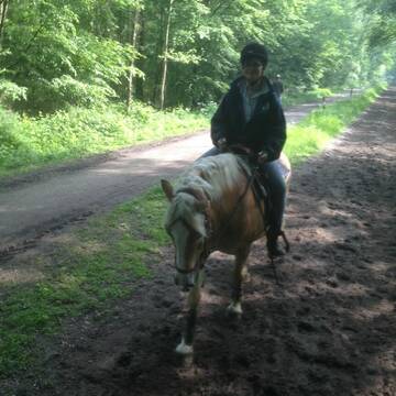 Bild: Reitbeteiligung in  Grefrath