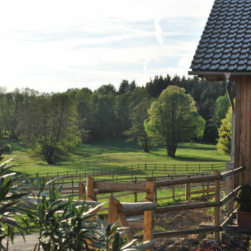 Bild: Stall in  Radmoos