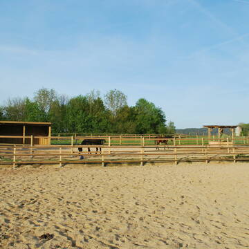 Bild: Stall in  Radmoos