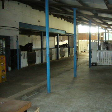 Bild: Stall in  Dorsten