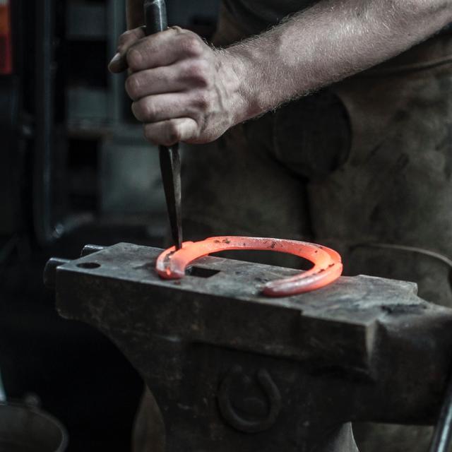 Das Beste für die Hufe (Anzeige)