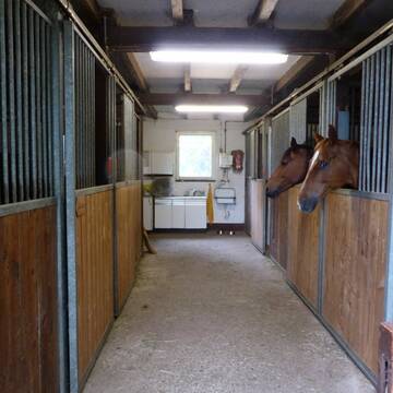 Bild: Stall in  Lörrach