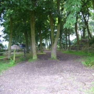 Gang zu Padock und Weiden