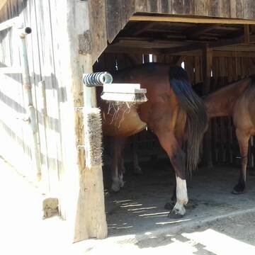 Unterstand im Offenstall