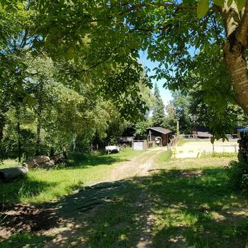 Innenhof vom Paddock