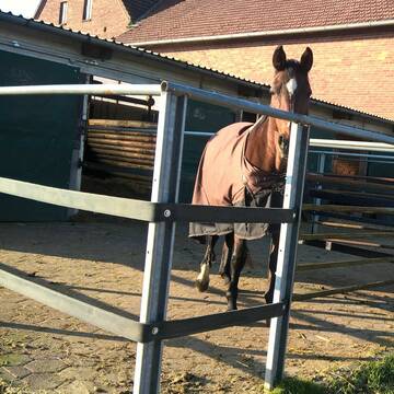 Bild: Stall in  Büttendorf