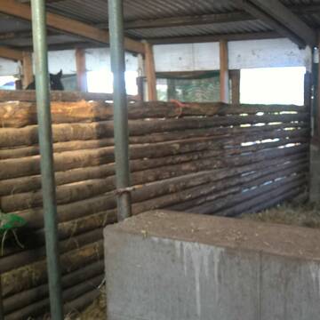 Bild: Stall in  Büttendorf